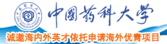骚逼插入网站中国药科大学诚邀海内外英才依托申请海外优青项目